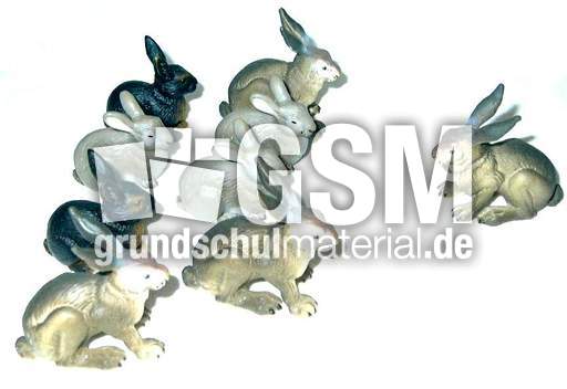 Hasen8+1.jpg